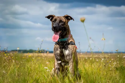 ZEUS photo 19