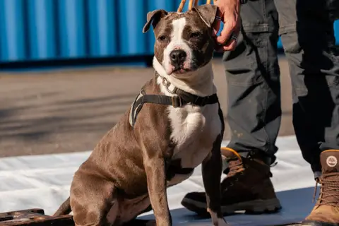 KIRA photo 2