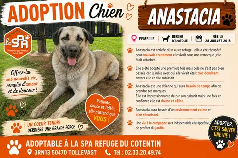 ANASTACIA