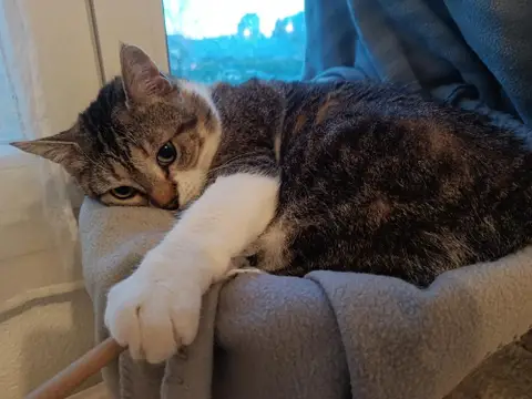 Médina photo 2