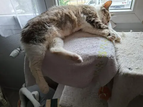 Médina photo 3