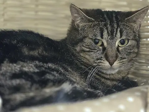 AZIRA