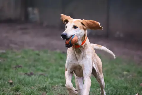 OASIS photo 3