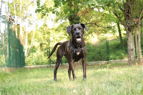 Oggy photo 6
