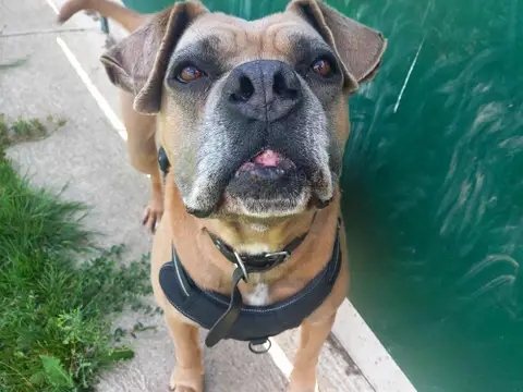 COSMOS QCN photo 5
