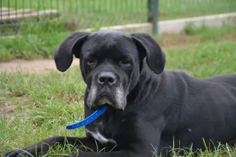 NALA photo 3