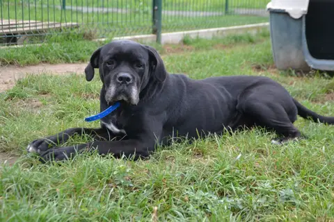 NALA photo 4