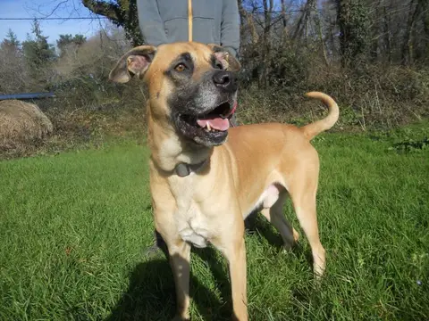 Stick photo 4