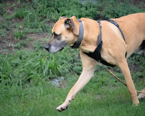 Stick photo 2