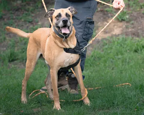Stick photo 3