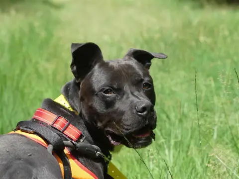 SNOOP photo 6