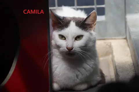 Camila photo 2
