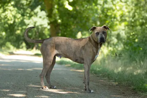 Pablo photo 2