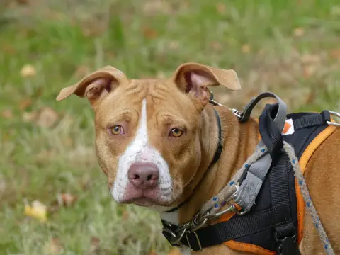 NALA photo 2