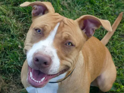 NALA photo 3