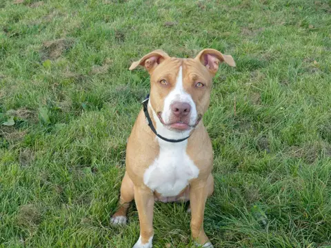 NALA photo 4