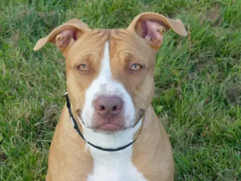 NALA photo 5