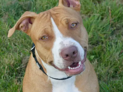 NALA photo 6