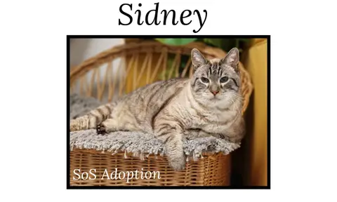 SIDNEY