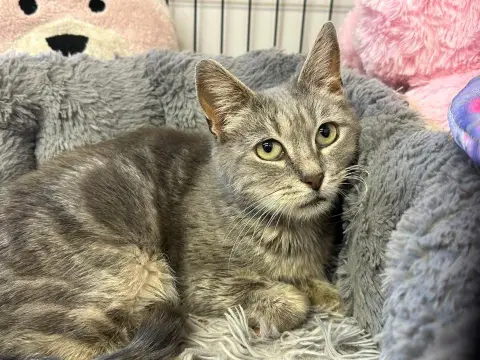 MISSY en SOS URGENT photo 2