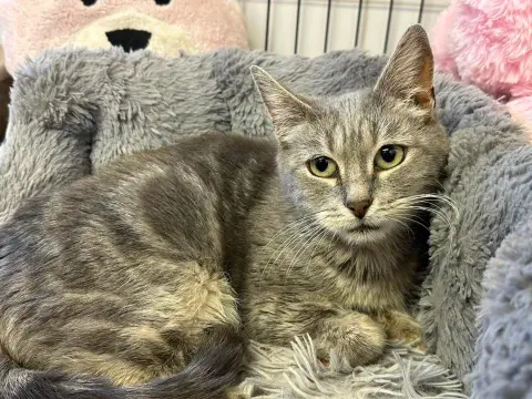 MISSY en SOS URGENT photo 3