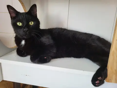 jimmy (réservé)