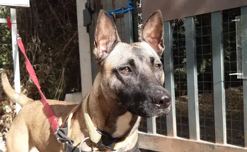 BELLA photo 3