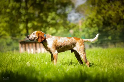 Sully photo 4