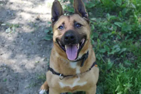 Kyra photo 3