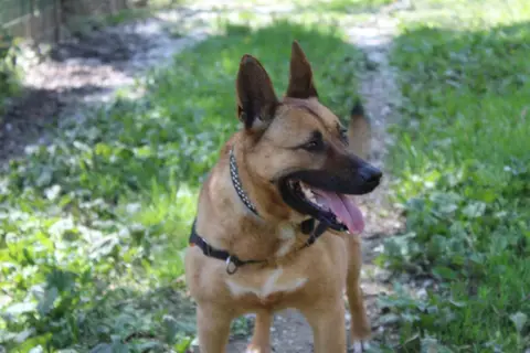 Kyra photo 6