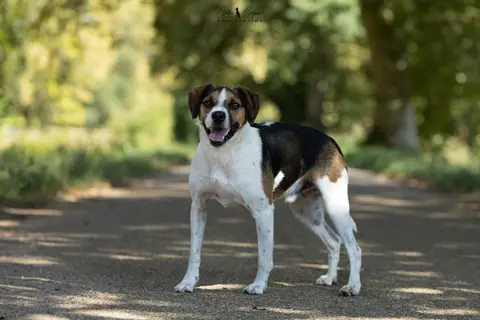 Rêve