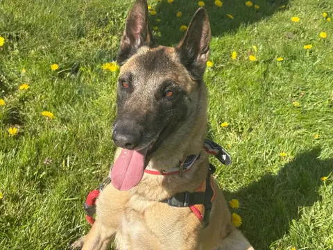 Rita