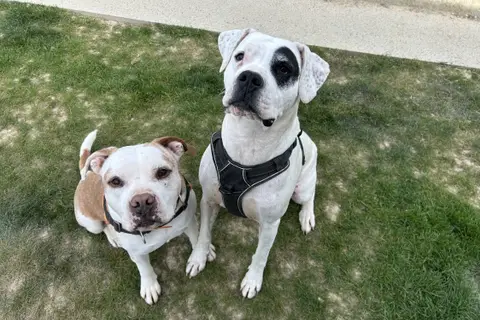 ALDERAAN (adoption duo) photo 4
