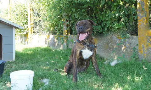 OLAF photo 17
