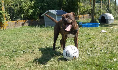 OLAF photo 19