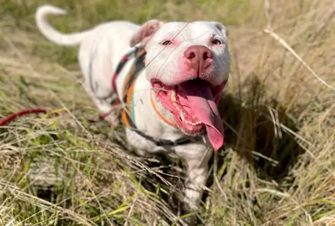 PERDITA