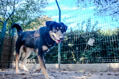 Vaya photo 4