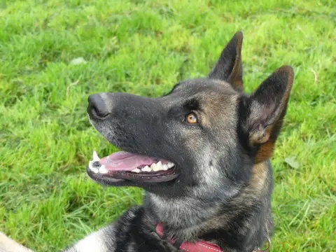REX photo 2