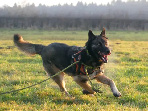 REX photo 4