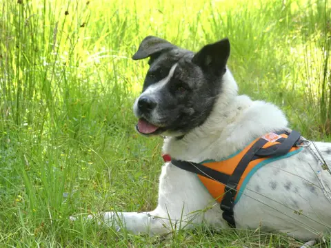 LYLIE BELLE photo 2