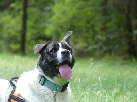 LYLIE BELLE photo 4