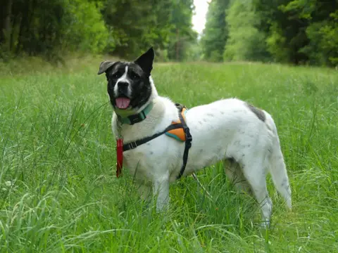 LYLIE BELLE photo 5