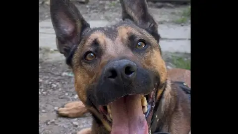 KAYAMB photo 3