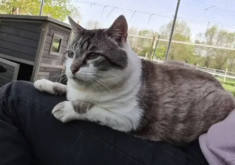 TOBBY