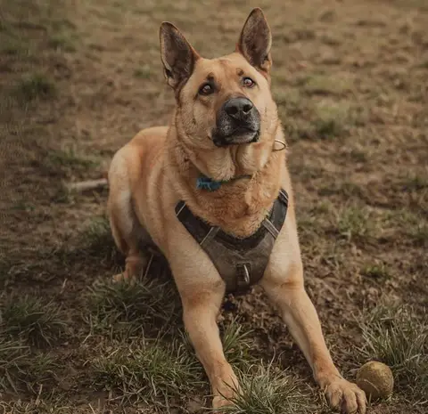 ARKO photo 2