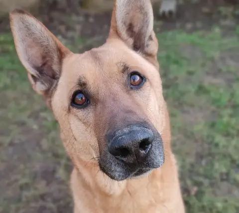 ARKO photo 4