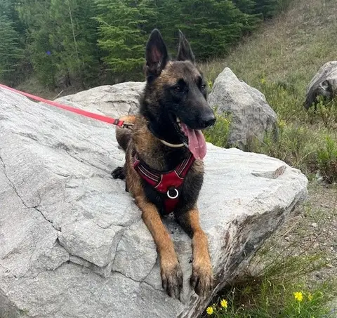 DJANGO photo 6