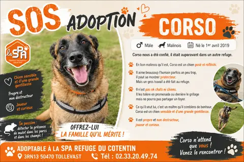 CORSO