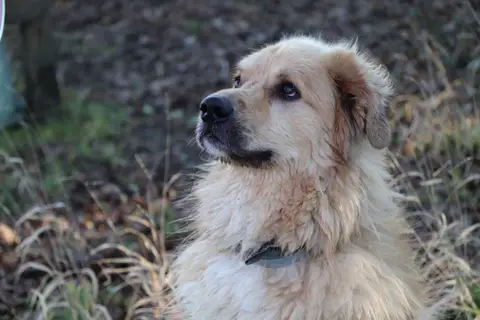 ROX photo 5