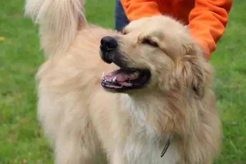 ROX photo 7